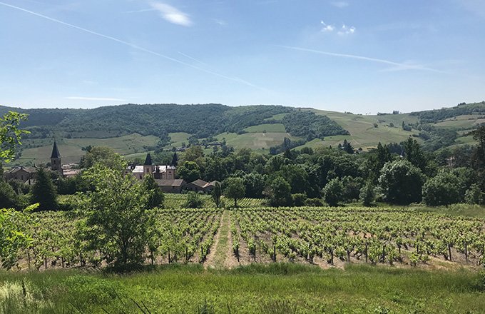 Le domaine des Jeunes Pousses a une belle vue sur les vignobles des crus du beaujolais, de l’autre côté de la route, à Emeringes (69). Photo : Audrey Domenach – Media et Agriculture
