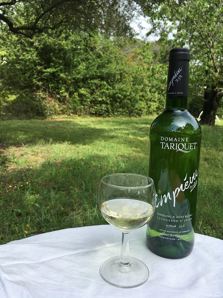 En avril dernier, le domaine Tariquet (Gers), réputé pour ses vins blancs secs et aromatiques, a lancé la cuvée Imprévu, un vin blanc avec un degré inférieur à 10 % d’alcool, obtenu sans désalcoolisation. Photo : S.Favre/Media et Agriculture