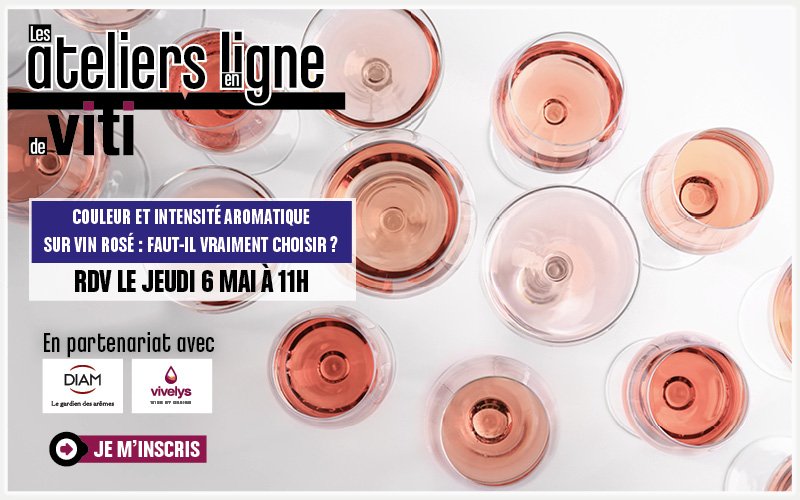 Atelier en ligne - Œnologie : Couleur et intensité aromatique sur vin rosé : faut-il vraiment choisir ?