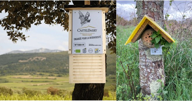 La Cave de Castelbarry, Vignerons engagés depuis 2017, œuvre pour les chauves-souris. Les Caves de Rauzan ont implanté des nichoirs pour les abeilles sauvages.  Photos : Cave de Castelbarry/Caves de Rauzan