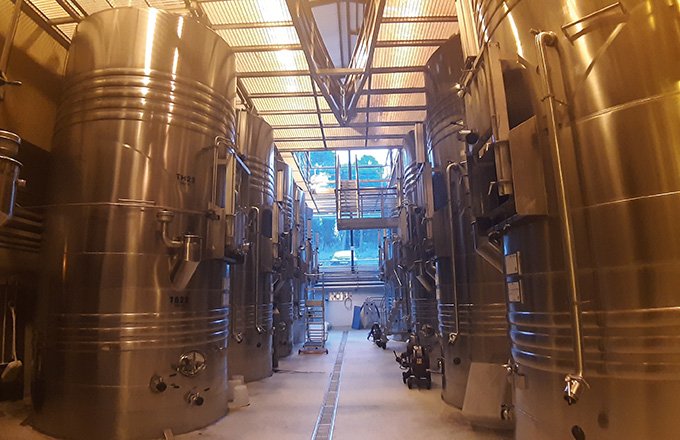 Plusieurs process de cuvaison courtes « améliorées » ont été testés à la cave expérimentale de l’ICV pour bien vinifier les raisins récolter en légère sous-maturité. Photo : ICV