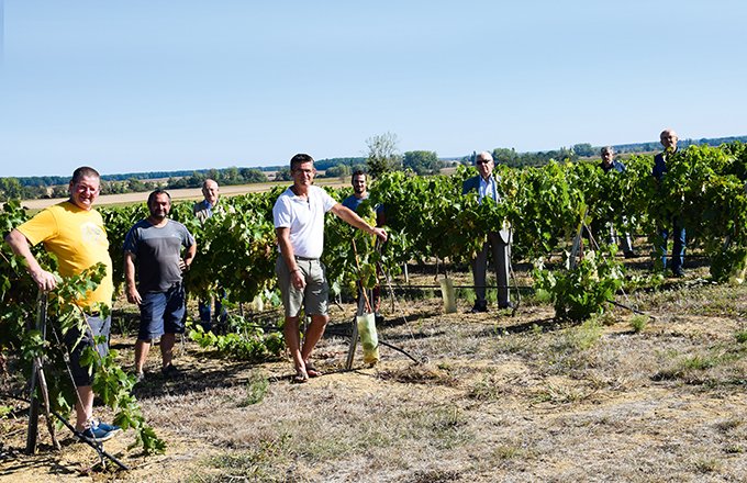 Les neuf agriviticulteurs de la coopérative Bourgogne du Sud. Photo : E .Thomas/Pixel6TM