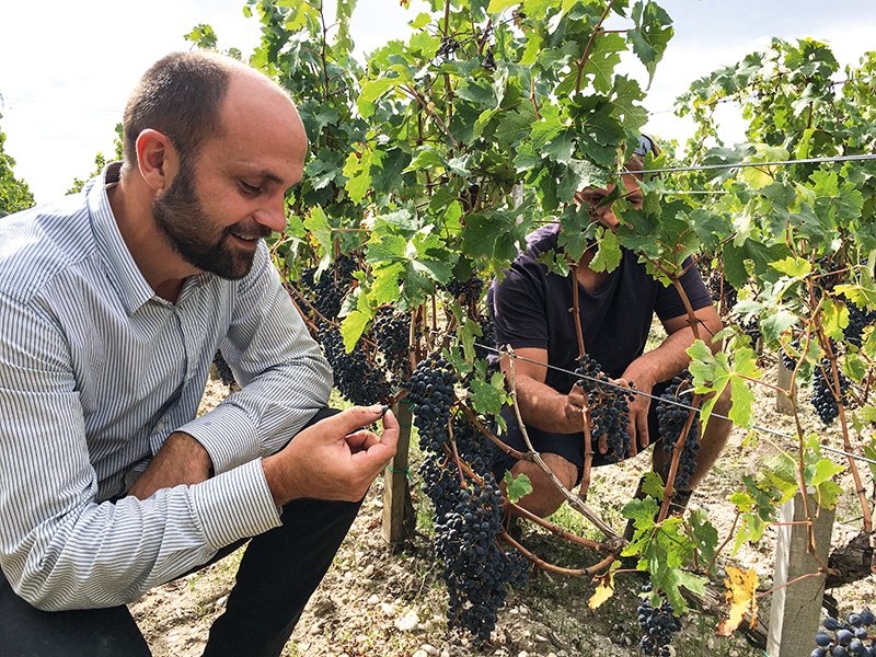 Pierre Maussire, le directeur technique du château Laffitte Carcasset, et Grégory Payen, chef de culture pour les 40 ha de vigne du domaine, améliorent chaque année la qualité de pulvérisation. 