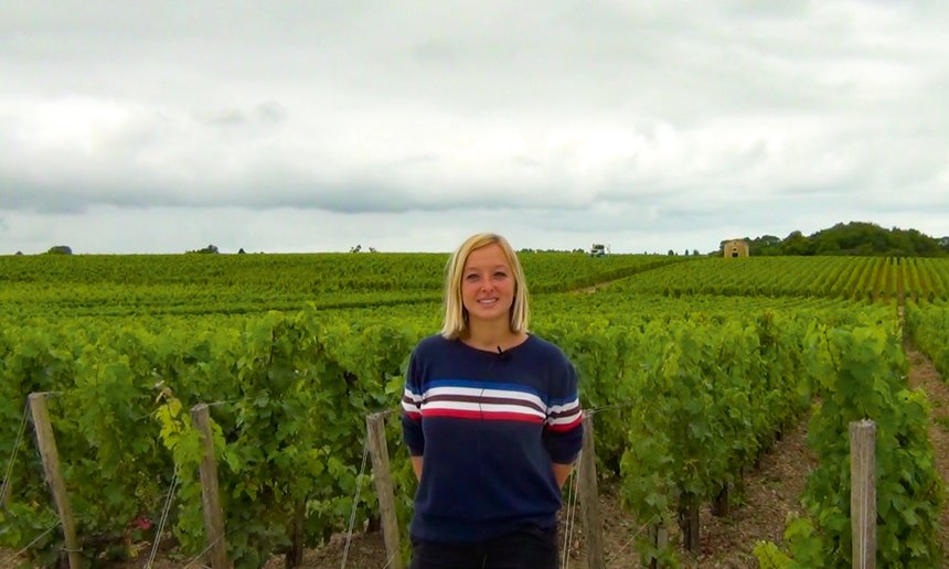 Lisa Gustafsson, responsable du vignoble au domaine Calon Ségur