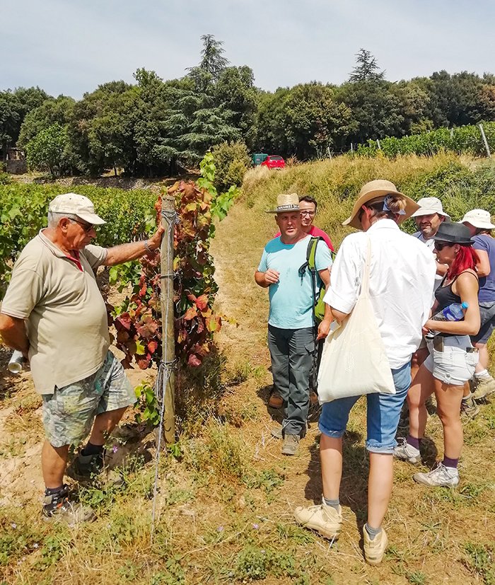 Stéphane Mallié, lors d’une journée de prospection FD au sein de l’AOC Faugères, entouré par les vignerons volontaires. Photos : Marie Corbel
