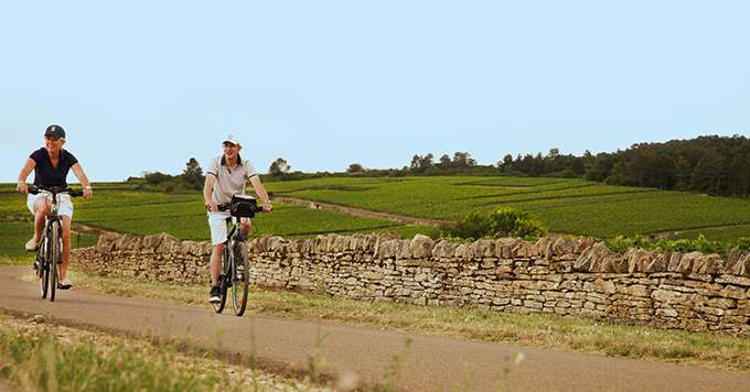 Des fiches sur les consignes à respecter dans le vignoble ont été éditées à destination des prescripteurs touristiques bourguignons. BIVB / Lukam