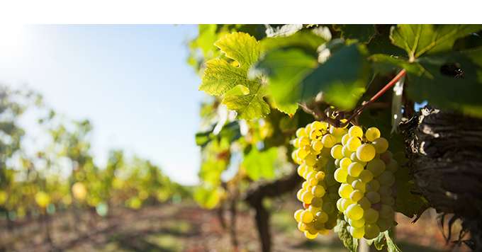 Thierry RYO/Adobe Stock