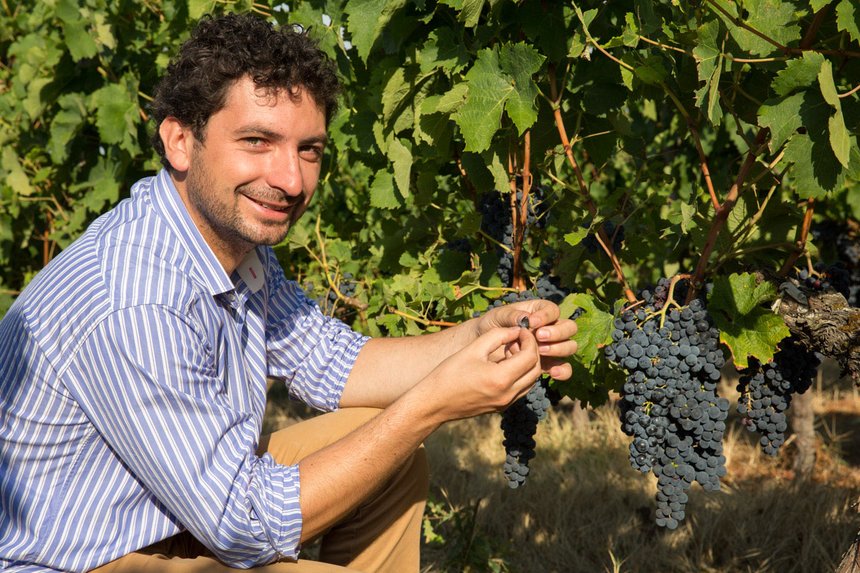 En adaptant la fertilisation et l’enherbement aux différentes zones de vigueur, Julien Bonneau a pu améliorer  la qualité de ses vins. Corinne Couette