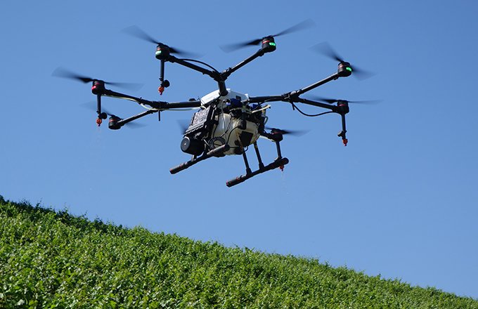 En Suisse, sept entreprises sont agréées pour réaliser  les traitements par drone. David Lefebvre