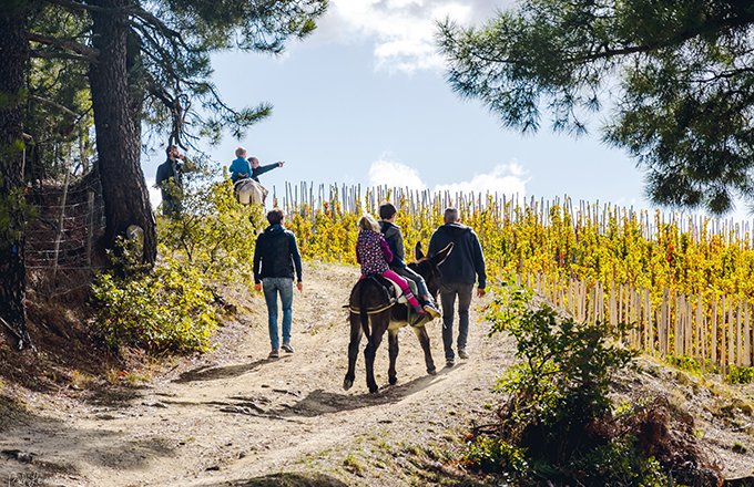 Le Fascinant week-end permet de fédérer  les dix destinations labellisées Vignobles et découvertes, de la région Auvergne Rhône-Alpes. Photo : DR