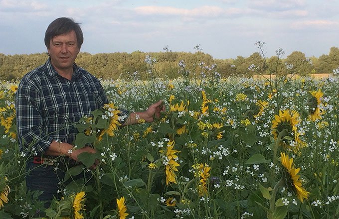 Frédéric Thomas est agriculteur et rédacteur en chef de la revue « TCS ». Ici, dans un couvert biomasse de douze espèces entre un blé et un maïs (production de 5 à 10 t de MS/ha/pendant l’interculture (août à avril). Photos : Frédéric Thomas/TCS