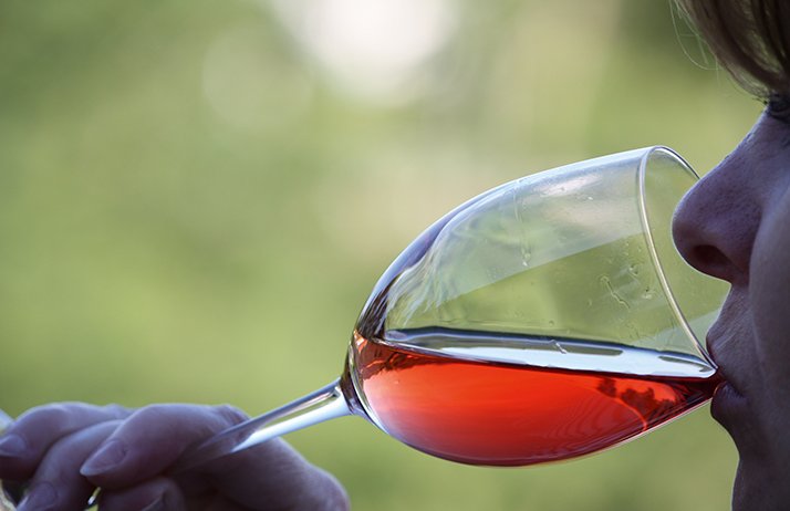 Récolter plus tôt permet bien de diminuer le degré alcoolique, mais cela modifie profondément le profil du vin, avec, à la dégustation, une perte de gras et d’intensité aromatique. © jeje / Adobe stock