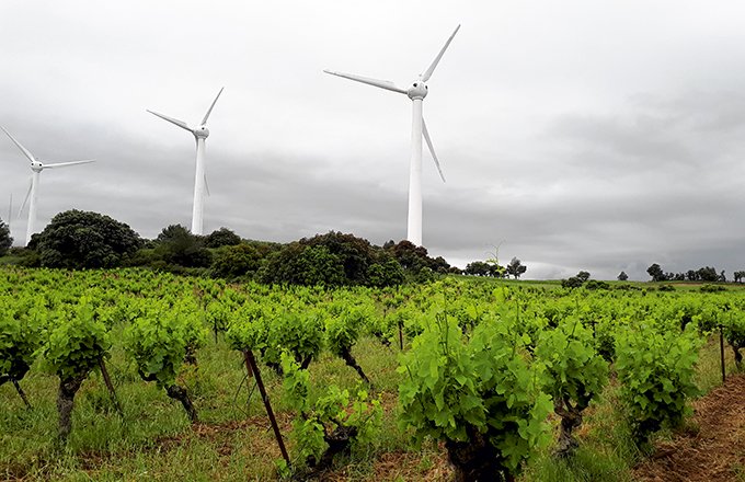 Le parc éolien du Cers est implanté sur les communes d’Escales et de Conilhac-Corbières (Aude). Photo : photos : Jacques Guillaume pour la Sodel