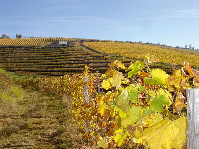 Le vignoble est situé dans la partie méridionale de la Corrèze,  sur des collines de schistes, orientées sud-ouest. Photos : Coteaux de la Vézère