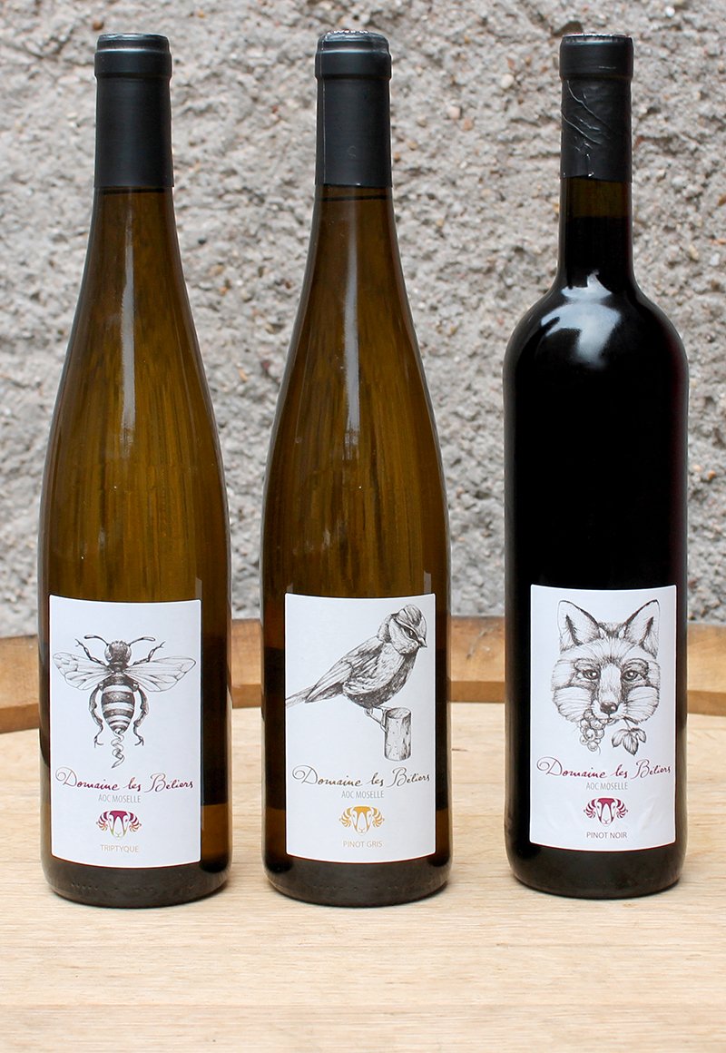Le Domaine les Béliers vend 80&nbsp;% de ses vins en direct  et 20&nbsp;% par l’intermédiaire d’un distributeur local. © I. Fafet/Pixel Image