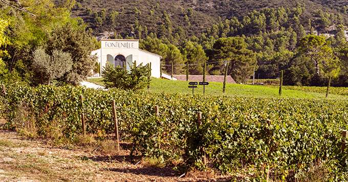 Le domaine de Fontenille s’étend sur 35 ha  et produit en aop luberon. Photo : DR