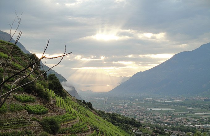 Les vignes d’Alexandre Deletraz sont en majorité sur l’appellation fully. Sur la photo ci-dessous : le vignoble le plus haut du Valais, les Combes d’Enfer où sont plantées ses syrahs. Photo : DR