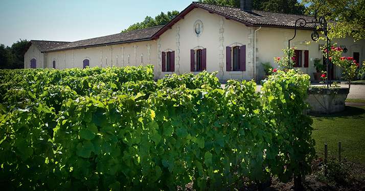 En plus de la réduction des intrants, le domaine bordelais Château Brown a mis en place un suivi précis des traitements phytosanitaires. © Château Brown