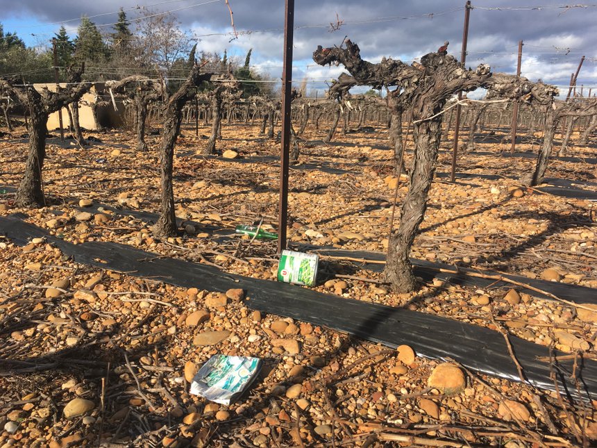 des boites de conserve abandonnées au milieu d'une vigne (S.Favre/Pixel Image)