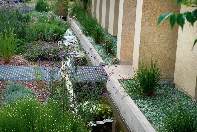 Au domaine Mas Jullien situé dans l’Hérault, Jardin Gecko a créé un jardin de plantes aromatiques devant l’entrée du caveau. Photo : Jardin Gecko