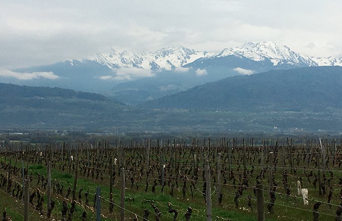 Les vins de Savoie promeuvent une image  de pureté, véhiculée par  les montagnes, les Alpes. Photos : A. Domenach/Pixel Image