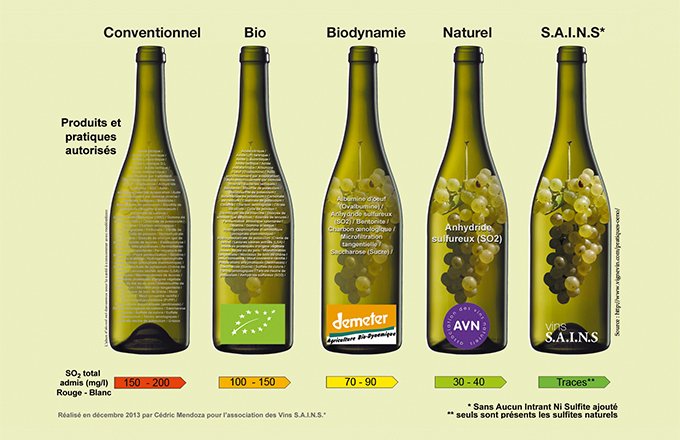 Cette illustration, produite par l’association des vins SAINS, met en évidence les différences entre les cahiers des charges des différentes démarches.