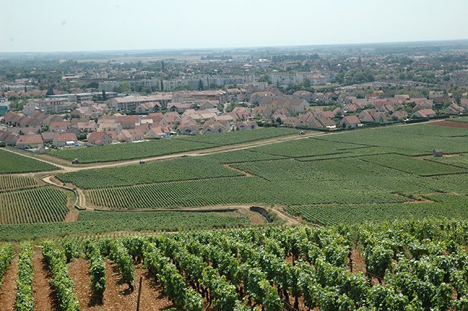 Selon la FNSafer, le prix des vignes AOC vendues en 2016 s’est stabilisé pour la première fois depuis vingt ans. En parallèle, l’emprise  des sociétés sur le foncier viticole continue sa croissance. Photo : E. Thomas/Pixel Image