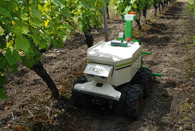 Oz, le robot de Naïo technologies, est destiné  au binage dans les vignes  ou en maraîchage.  Photo : O. Lévêque/Pixel image