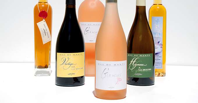 Les vins blancs et rosés sont les plus sensibles aux casses protéiques. L’utilisation des enzymes protéases, par l’hydrolyse des protéines, pourrait limiter ce phénomène. Photo : L. Theeten/Pixel Image