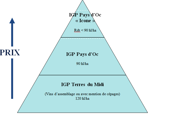 Proposition de segmentation des IGP du languedoc. Les IGP Terres du Midi et Pays d'Oc auraient une gouvernance commune