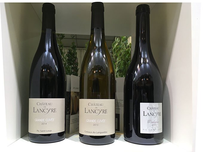 Les vins du château sont distribués sur le réseau traditionnel en France et à l’étranger. Ils sont aussi disponibles au caveau avec des prix allant de 8,50 à 27 euros. Photo : S. Favre/Pixel Image