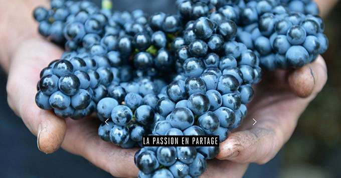 « La passion en partage » peut-on lire sur le site Internet des vins Georges Dubœuf. Cette philosophie de travail transpire maintenant aussi sur le digital et les réseaux sociaux !