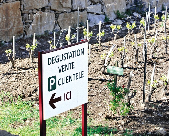 Les domaines viticoles ne commercialisant que leurs propres prestations sont dispensés (sauf si celles-ci font partie d’un voyage individuel ou collectif). Photo : Laurent Theeten/pixel image