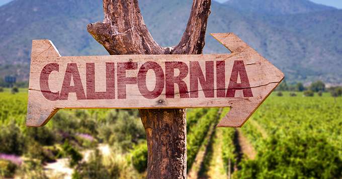 Un prix de la viticulture numérique pour les startups. © Gustavofrazao/Fotolia