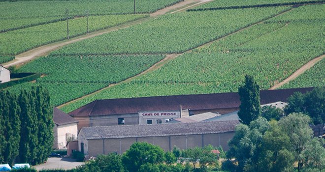 La coopérative Terres secrètes a été la première cave de Bourgogne  à être labellisée VDD, Vignerons en développement durable. Photo : E.Thomas/Pixel Image