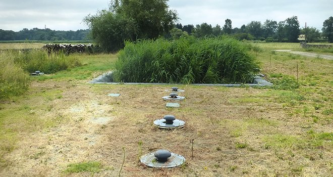 Pour traiter les effluents vinicoles, les filtres plantés de roseaux sont disposés après un système de « boues activées », comme ici au Château Castéra (Médoc), développé par la société Agro Environnement. Photos : Syntea