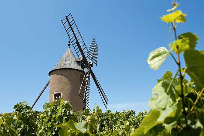 Moulin-à-vent est le cru revendiquant le plus de lieux-dits, d’après l’enquête effectuée sur le millésime 2011. Photo : visuall2/Fotolia