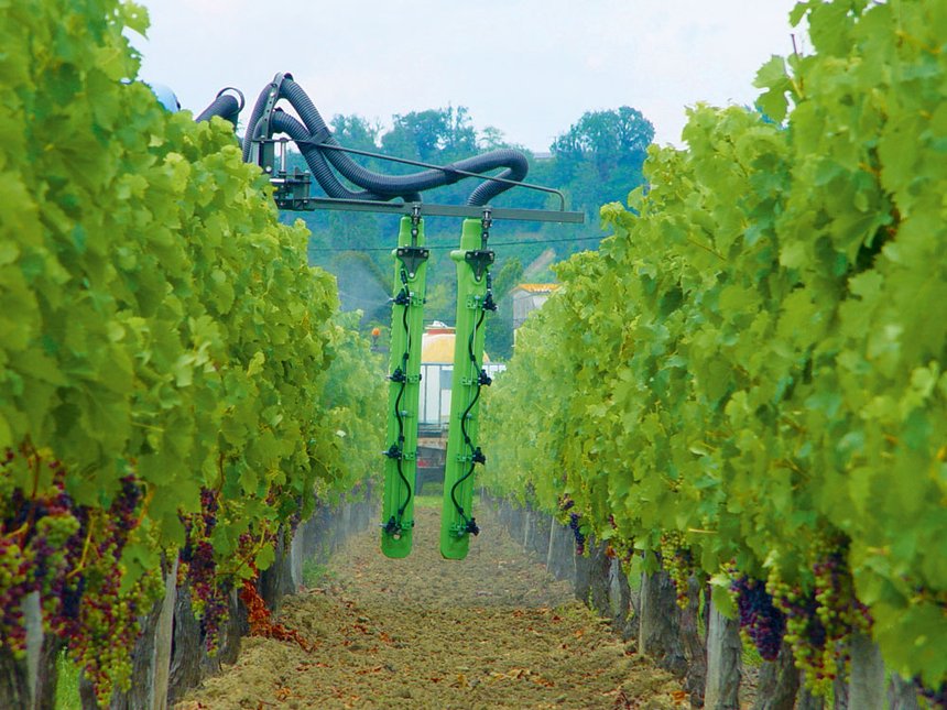 En Aquitaine, le Resaq Viti Bio teste deux produits de biocontrôle, l’Armicarb et le Botector dans des conditions « viticulteurs ». © S. Favre/Pixel Image