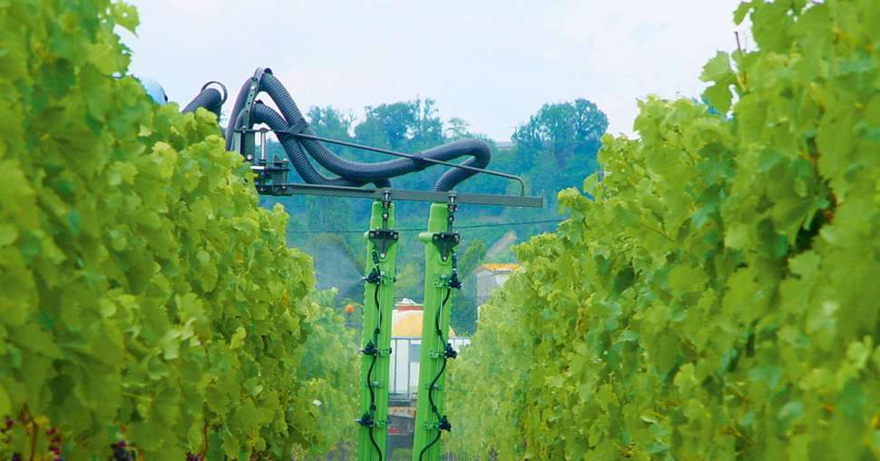 En Aquitaine, le Resaq Viti Bio teste deux produits de biocontrôle, l’Armicarb et le Botector dans des conditions « viticulteurs ». © S. Favre/Pixel Image