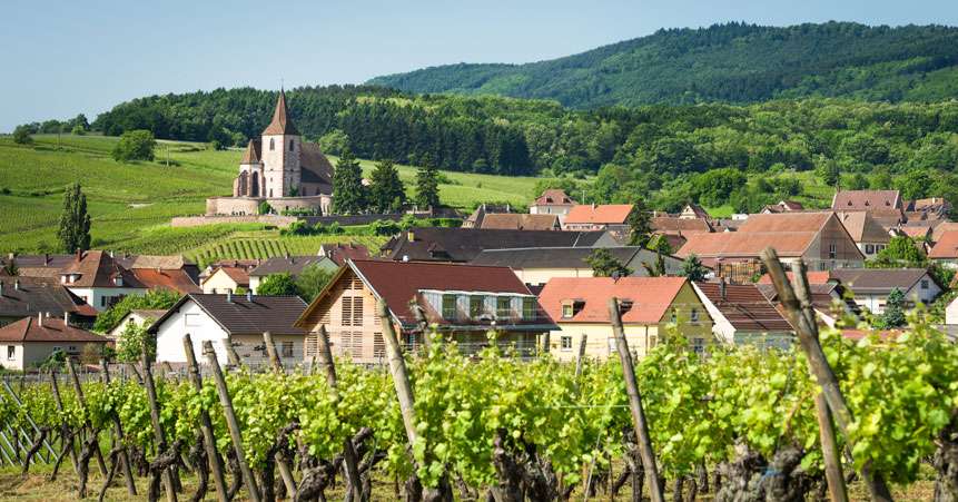 vue village et vigne