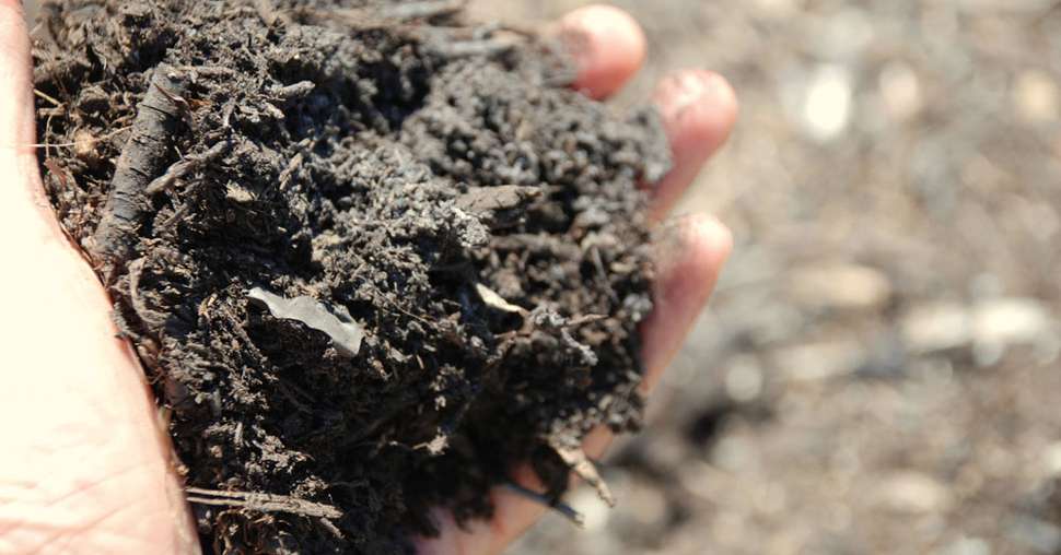 Le compost permet-il d’améliorer  la teneur en matière organique des sols ? La question fait débat. © C. Milou/Pixel image