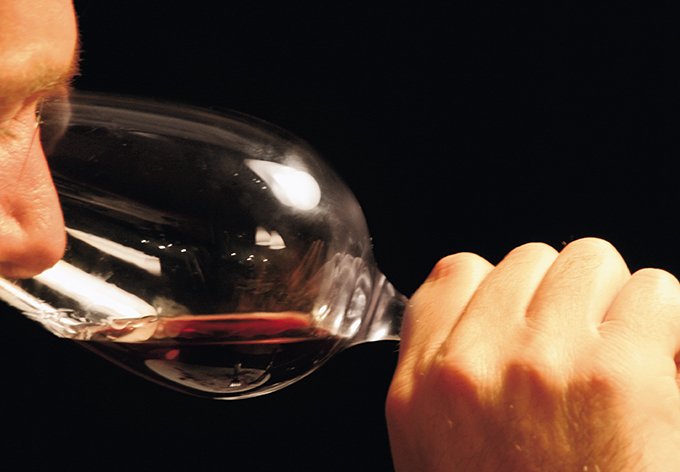 Dans certains cas, l’utilisation de levures non-Saccharomyces peut modifier le profil sensoriel des vins. C’est pourquoi il convient de réaliser des essais préalables sur des volumes restreints lors des premières utilisations en cave. Photo : Fotolia