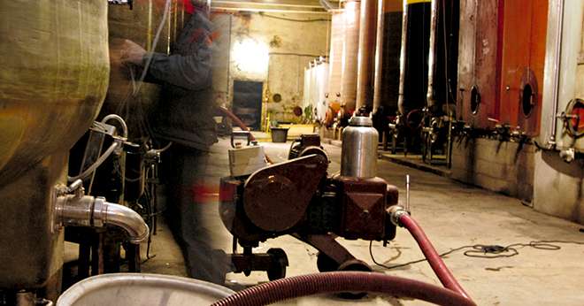 D’après l’IFV, les moûts contiennent très peu de phtalates. C’est pendant l’élaboration du vin que ce dernier va plus ou moins se charger, par contacts avec les matières plastiques. Photo : L. Theeten / Pixel Image