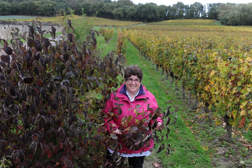  « L’effet de la biodiversité se voit aussi sur les vignerons qui sont plus observateurs », se félicite Ma-rie-Anne Simonneau, animatrice chef de projets au syndicat Saumur-Champigny. Photo : Carole Pilard
