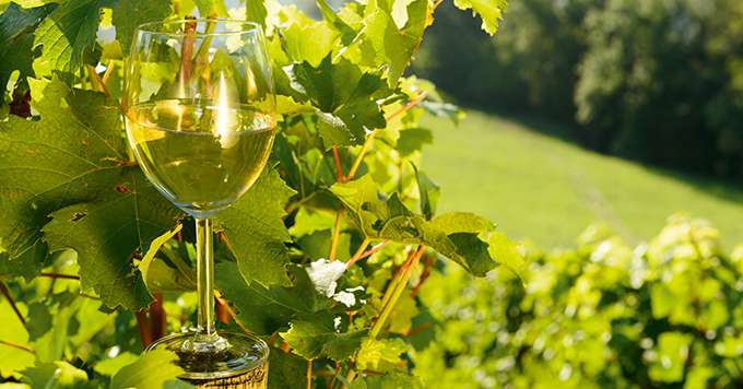 Les discussions autour des vins naturels sont ouvertes au sein de l’INAO. Photo : philipimage/Fotolia