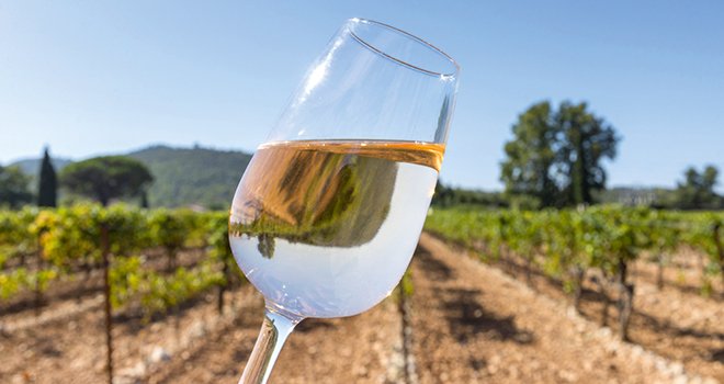 En rosé, les consommateurs attendent un vin de couleur pâle aux nuances fluo ou un orangé provençal.  L’objectif est d’obtenir un ICM final entre 0,2 et 0,5. Photo : francis bonami - fotolia