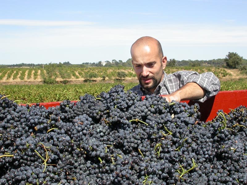Stephan Brun, vigneron du groupe Ferme Dephy Vaucluse, a cessé d'utiliser des produits CMR depuis 2012.