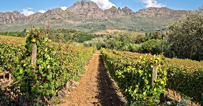 Éthiopie: la renaissance d'un terroir