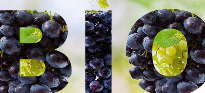 En 2022, les ventes de vin bio ont progressé de 2%
