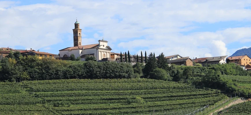 Combien coûte un hectare de vigne en Italie ?